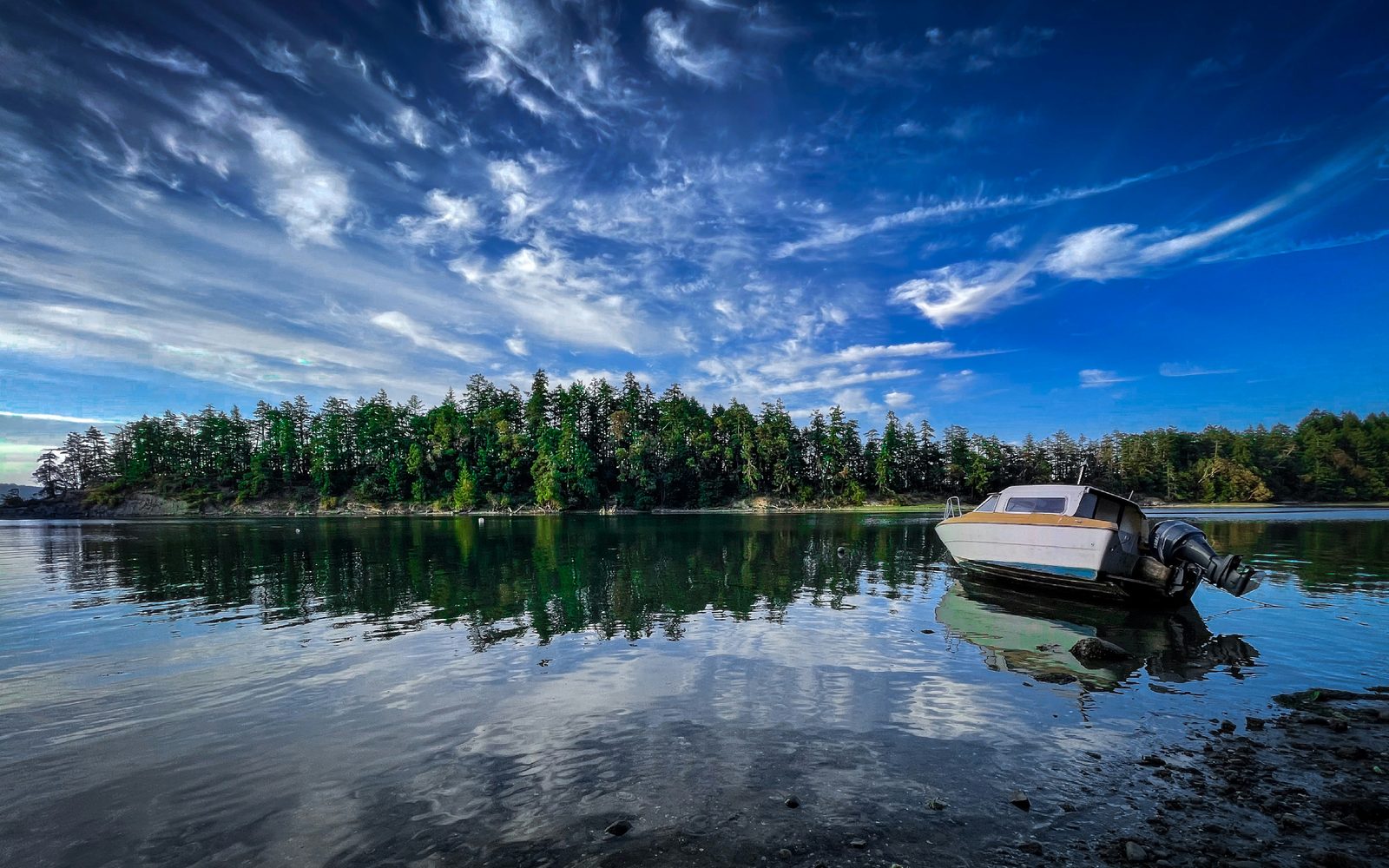 A small boat resting on a calm, tree-lined shore under a wide blue sky