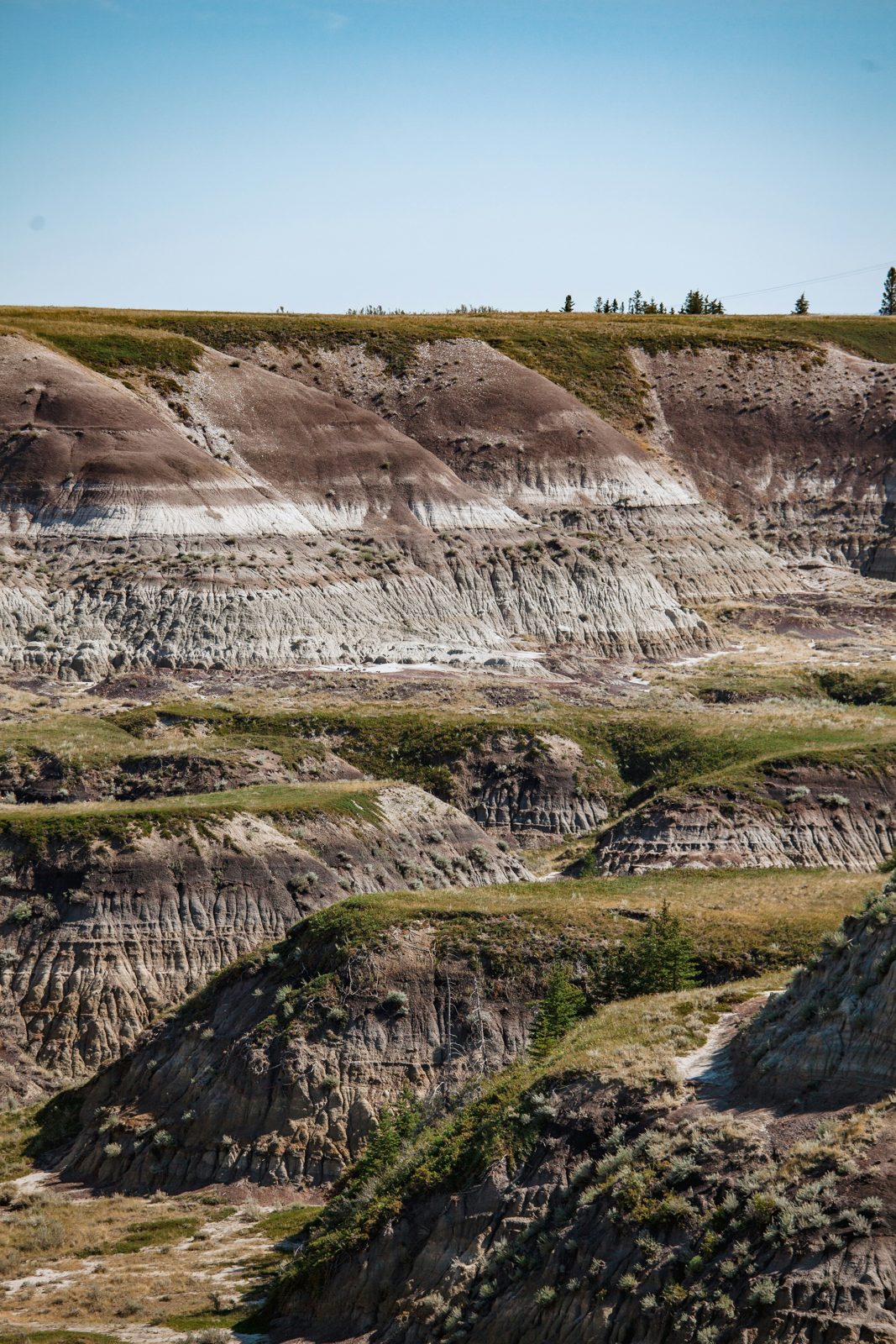 Eroded badlands cliffs with bands of clay and sandstone in the Red Deer River valley