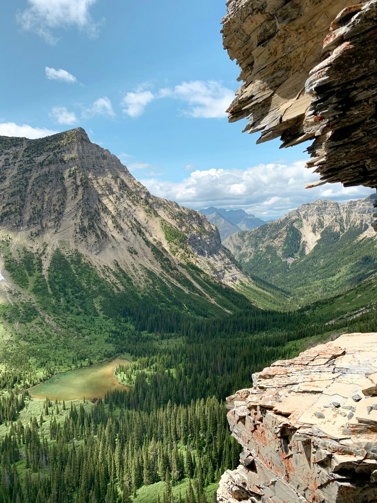 A mountain valley seen from a rocky ledge in Waterton Lakes National Park