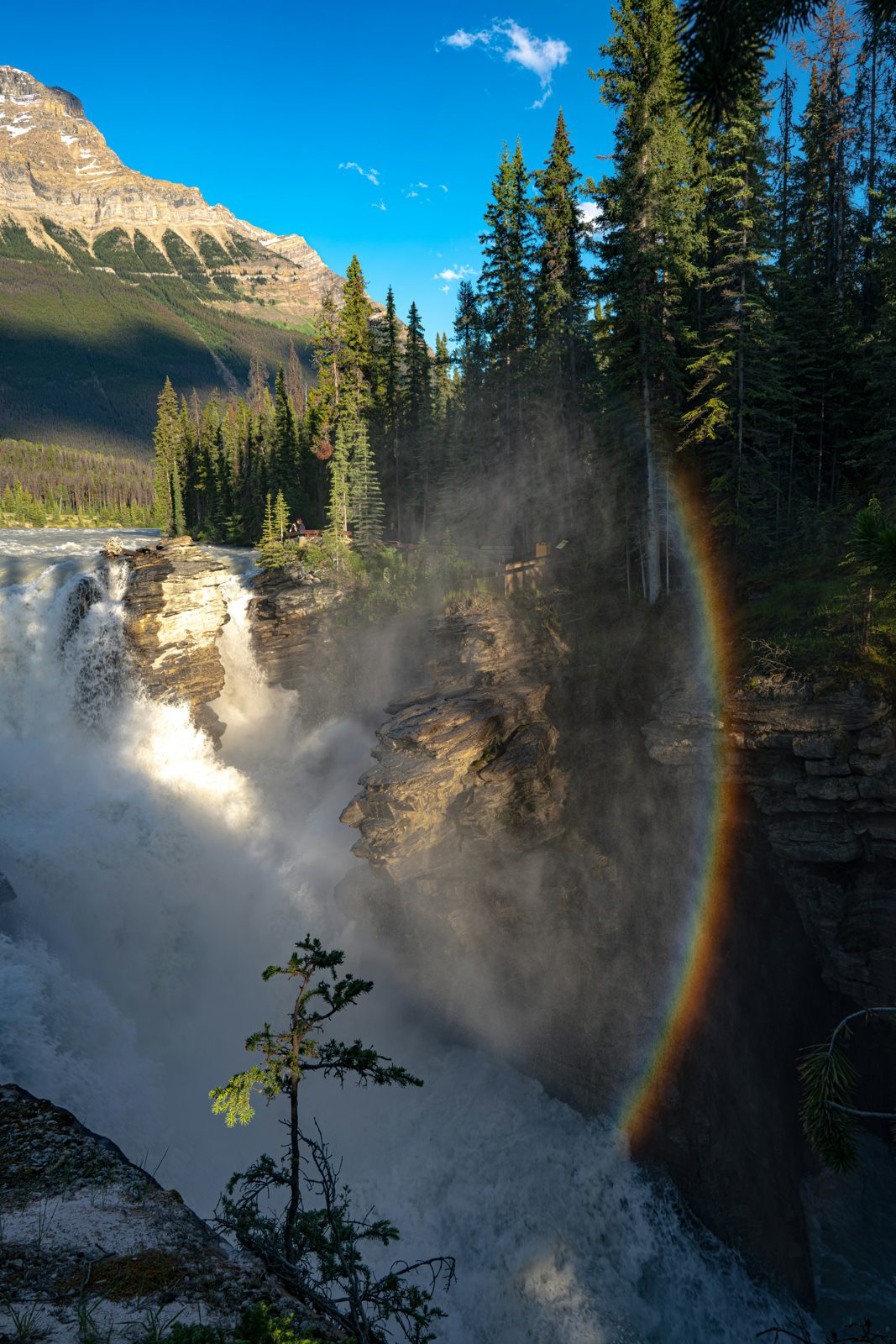 Athabasca Falls with a rainbow in the spray, Jasper National Park
