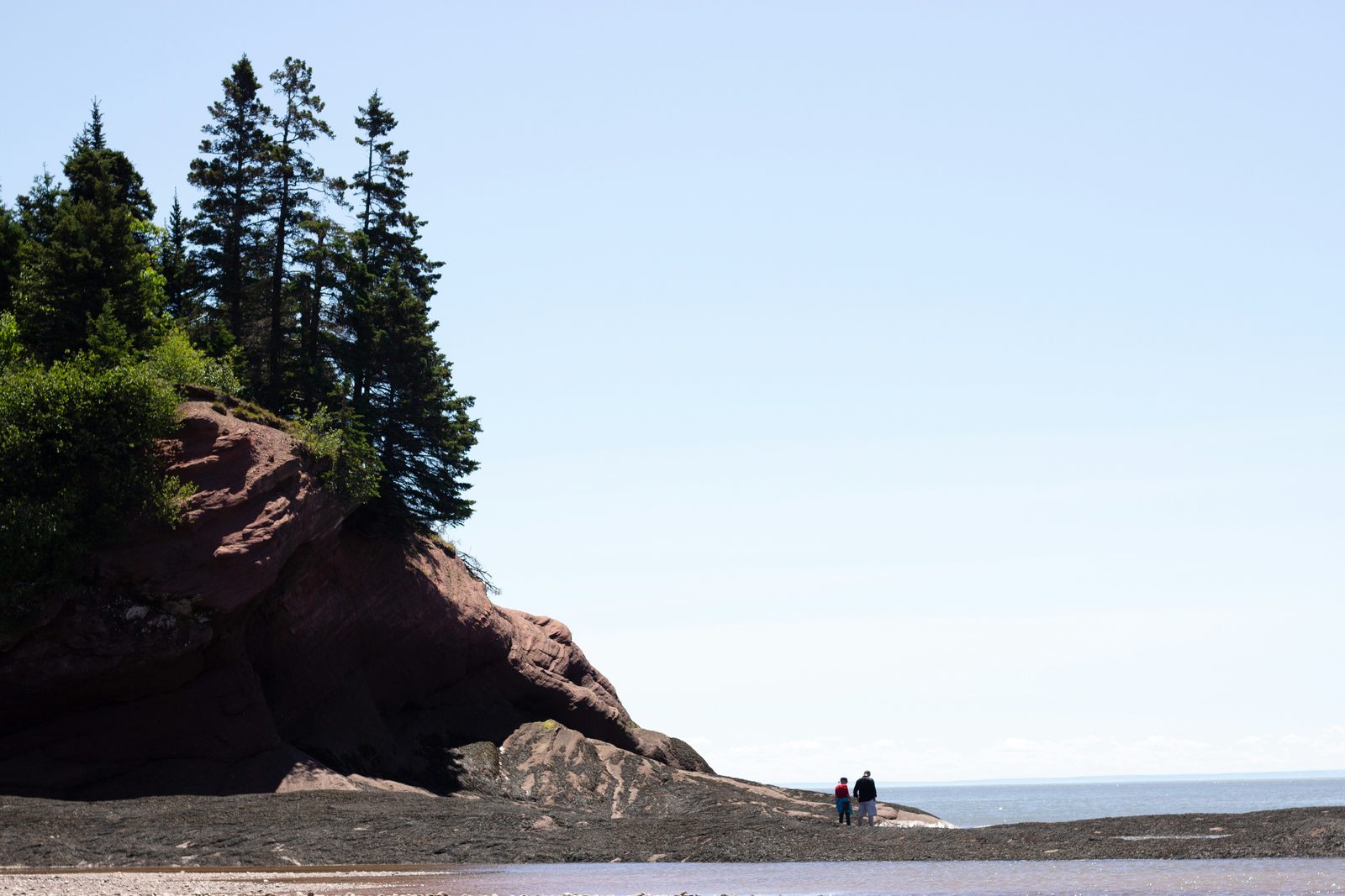 A red sandstone headland topped with spruce above the tidal flats, with two visitors on the beach