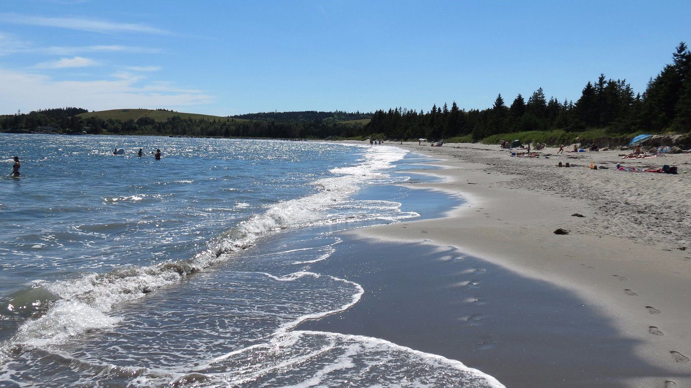 Gentle surf on a long sandy beach backed by spruce forest on the South Shore of Nova Scotia