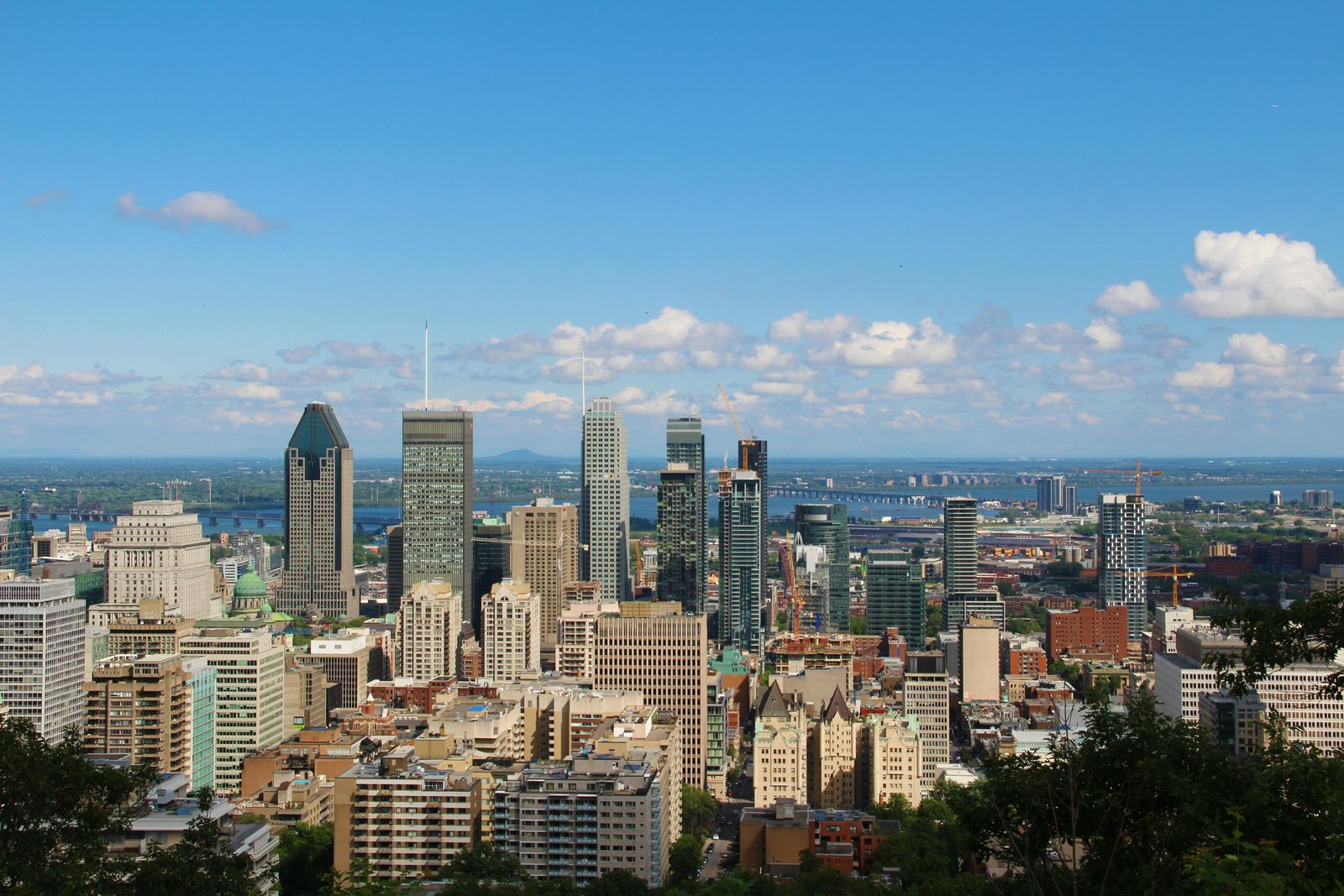 Downtown Montreal skyline under a blue sky, seen from a hilltop lookout