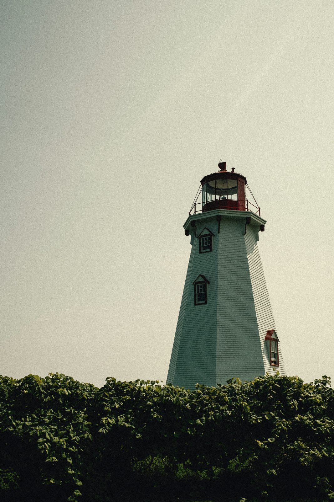 A white lighthouse tower rising above shrubs on Prince Edward Island