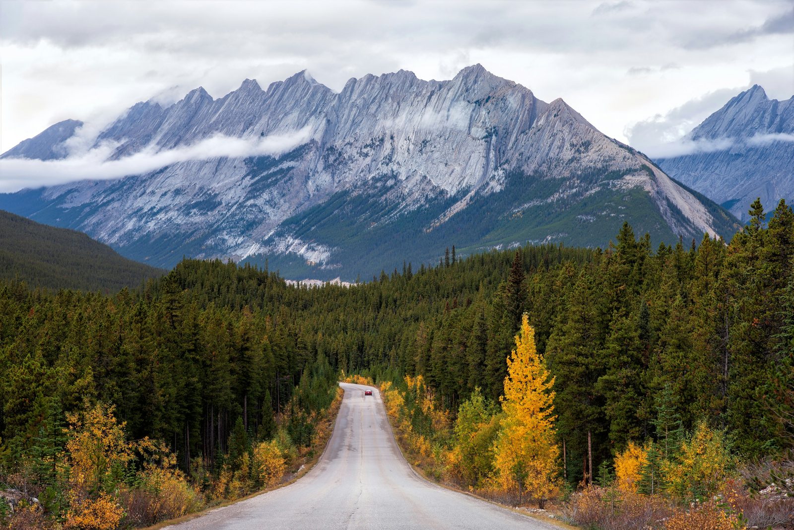 A quiet mountain highway running through forest toward rugged peaks