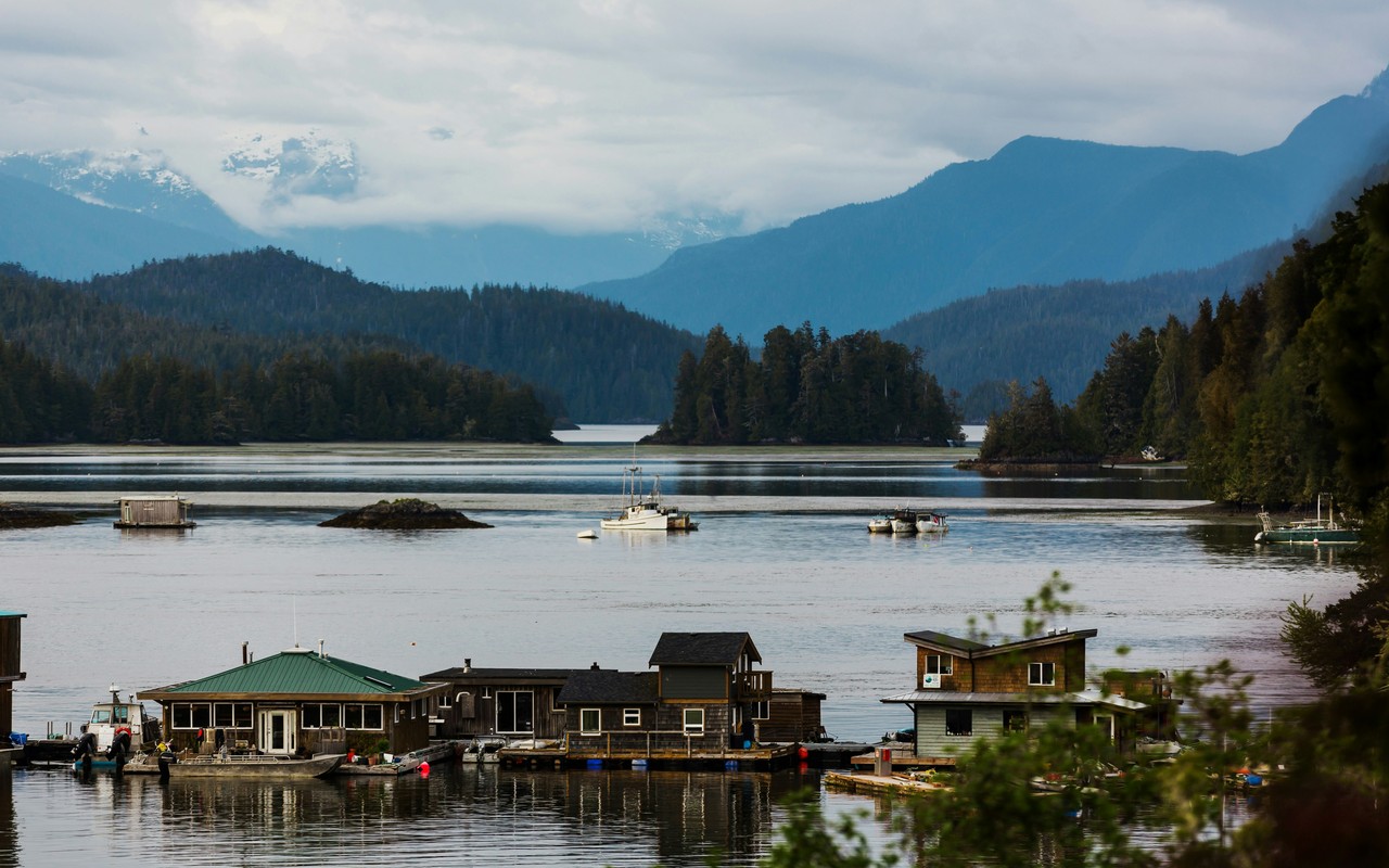 Floating homes and boats on a quiet inlet near Tofino, with forested mountains behind